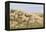 Dune Landscape, Detail, Germany, Lower Saxony, Ostfryingland-Roland T.-Framed Premier Image Canvas