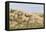 Dune Landscape, Detail, Germany, Lower Saxony, Ostfryingland-Roland T.-Framed Premier Image Canvas