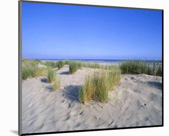 Dune landscape on the beach, Langeoog, East Frisian Islands, Lower Saxony, Germany-null-Mounted Art Print