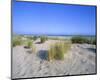 Dune landscape on the beach, Langeoog, East Frisian Islands, Lower Saxony, Germany-null-Mounted Art Print