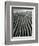 Dune, Oceano, 1934-Brett Weston-Framed Photographic Print