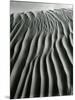 Dune, Oceano, 1934-Brett Weston-Mounted Premium Photographic Print