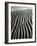 Dune, Oceano, 1934-Brett Weston-Framed Photographic Print