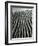 Dune, Oceano, 1934-Brett Weston-Framed Photographic Print