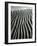 Dune, Oceano, 1934-Brett Weston-Framed Photographic Print