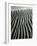 Dune, Oceano, 1934-Brett Weston-Framed Photographic Print