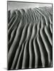 Dune, Oceano, 1934-Brett Weston-Mounted Photographic Print