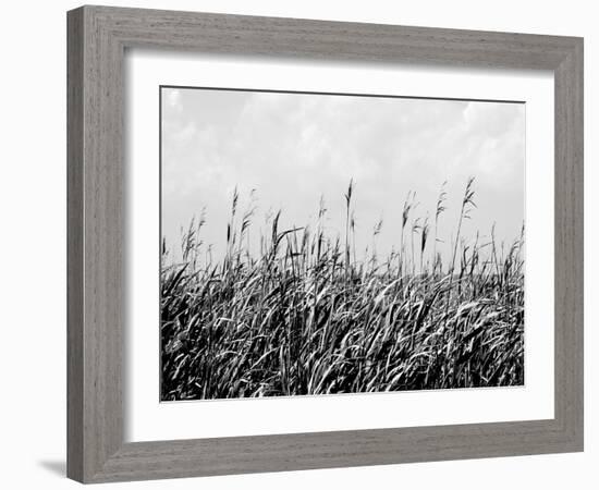 Dune Triptych III-Jeff Pica-Framed Photographic Print