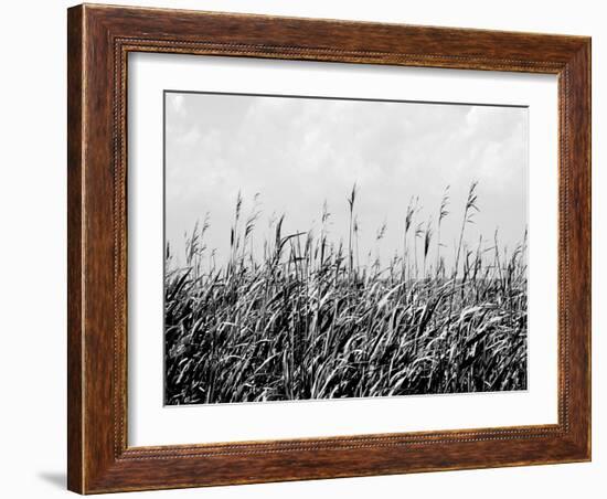 Dune Triptych III-Jeff Pica-Framed Photographic Print