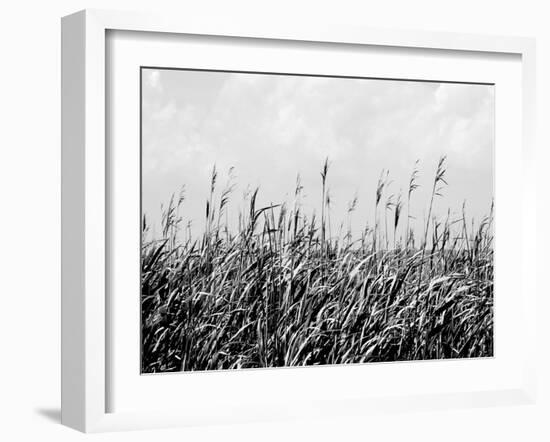 Dune Triptych III-Jeff Pica-Framed Photographic Print