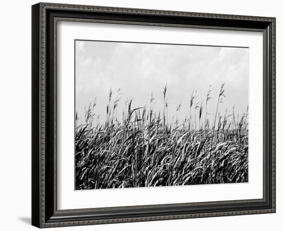 Dune Triptych III-Jeff Pica-Framed Photographic Print