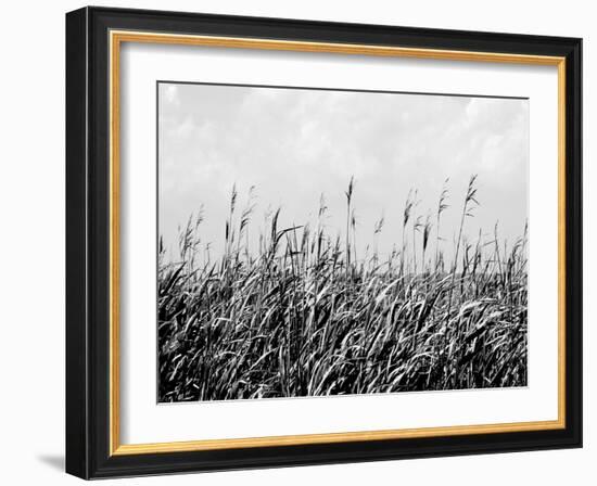 Dune Triptych III-Jeff Pica-Framed Photographic Print