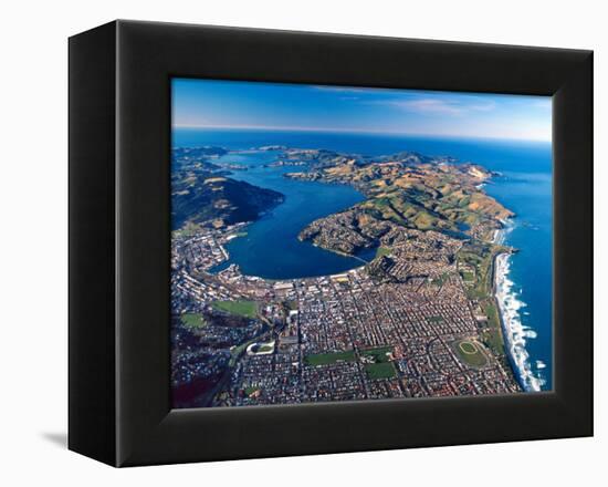 Dunedin, Otago Peninsula Harbor and Pacific Ocean, New Zealand-David Wall-Framed Premier Image Canvas