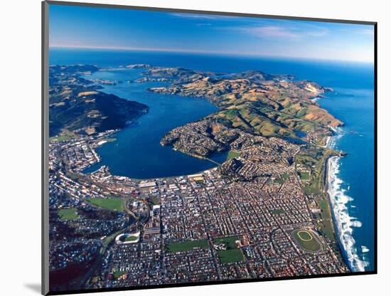Dunedin, Otago Peninsula Harbor and Pacific Ocean, New Zealand-David Wall-Mounted Photographic Print