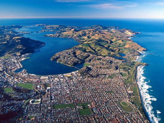Dunedin Otago Peninsula Harbor And Pacific Ocean New Zealand Photographic Print By David Wall Art Com
