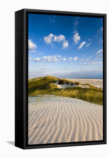 Dunes, Amrum Island, Northern Frisia, Schleswig-Holstein, Germany-Sabine Lubenow-Framed Premier Image Canvas