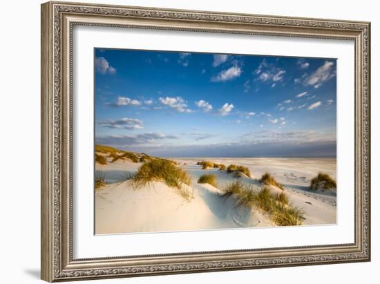 Dunes, Amrum Island, Northern Frisia, Schleswig-Holstein, Germany-Sabine Lubenow-Framed Photographic Print