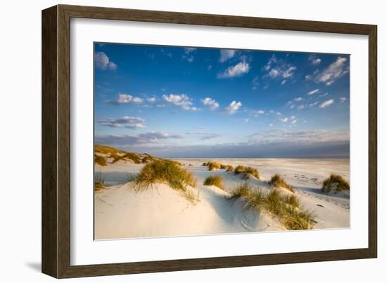 Dunes, Amrum Island, Northern Frisia, Schleswig-Holstein, Germany-Sabine Lubenow-Framed Photographic Print