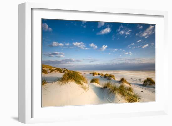 Dunes, Amrum Island, Northern Frisia, Schleswig-Holstein, Germany-Sabine Lubenow-Framed Photographic Print