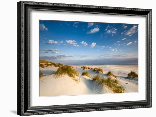 Dunes, Amrum Island, Northern Frisia, Schleswig-Holstein, Germany-Sabine Lubenow-Framed Photographic Print