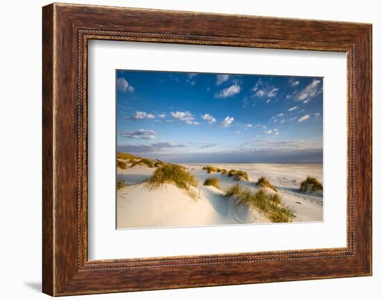 Dunes, Amrum Island, Northern Frisia, Schleswig-Holstein, Germany-Sabine Lubenow-Framed Photographic Print