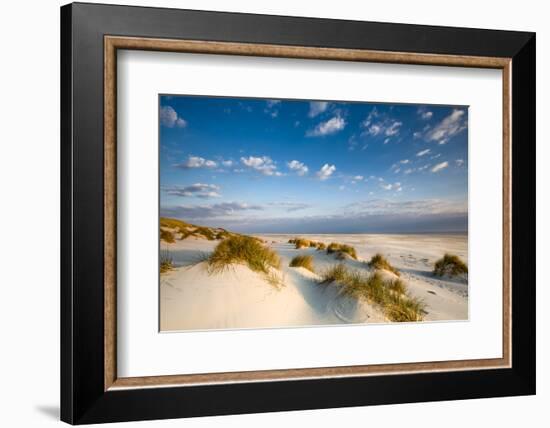 Dunes, Amrum Island, Northern Frisia, Schleswig-Holstein, Germany-Sabine Lubenow-Framed Photographic Print