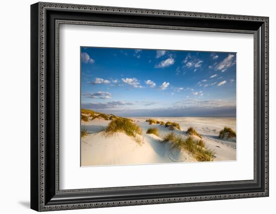 Dunes, Amrum Island, Northern Frisia, Schleswig-Holstein, Germany-Sabine Lubenow-Framed Photographic Print