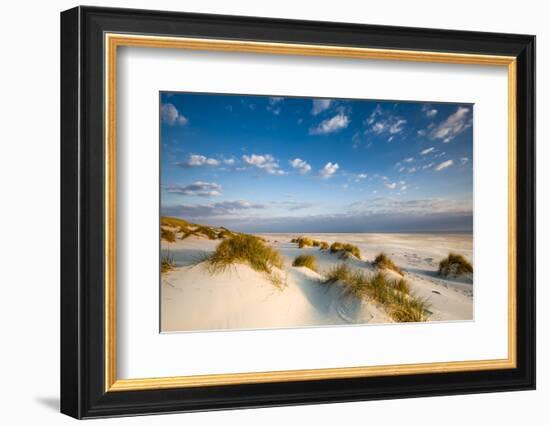 Dunes, Amrum Island, Northern Frisia, Schleswig-Holstein, Germany-Sabine Lubenow-Framed Photographic Print