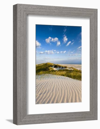 Dunes, Amrum Island, Northern Frisia, Schleswig-Holstein, Germany-Sabine Lubenow-Framed Photographic Print