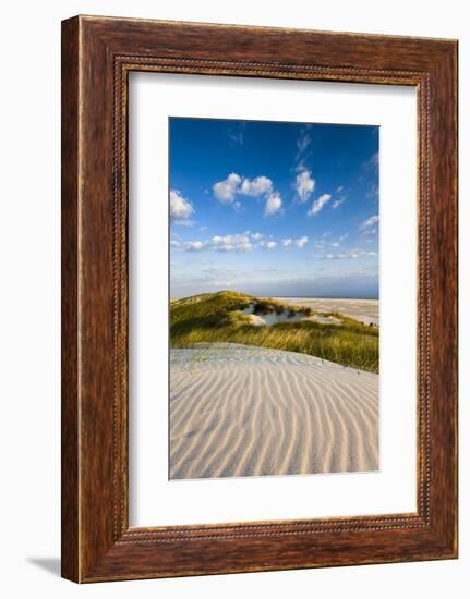 Dunes, Amrum Island, Northern Frisia, Schleswig-Holstein, Germany-Sabine Lubenow-Framed Photographic Print