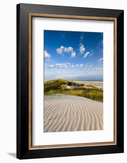 Dunes, Amrum Island, Northern Frisia, Schleswig-Holstein, Germany-Sabine Lubenow-Framed Photographic Print