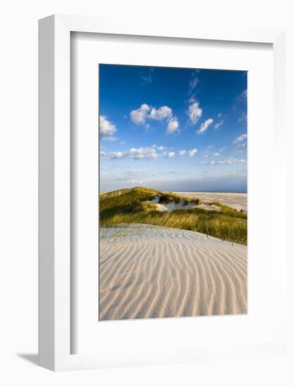 Dunes, Amrum Island, Northern Frisia, Schleswig-Holstein, Germany-Sabine Lubenow-Framed Photographic Print