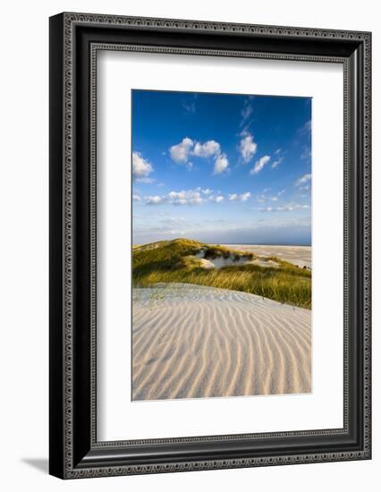 Dunes, Amrum Island, Northern Frisia, Schleswig-Holstein, Germany-Sabine Lubenow-Framed Photographic Print