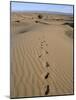 Dunes and Camp Under Tree in the Distance at Erg Al Hatin, Desert Trek, Draa Valley, Morocco-Jenny Pate-Mounted Photographic Print