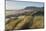 Dunes and dune grass at Nehalem State Park, Oregon.-Alan Majchrowicz-Mounted Photographic Print