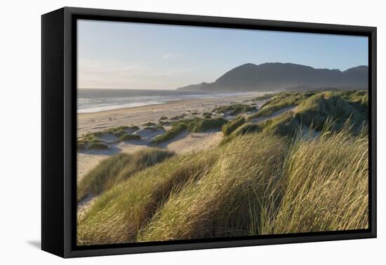 Dunes and dune grass at Nehalem State Park, Oregon.-Alan Majchrowicz-Framed Premier Image Canvas