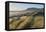 Dunes and dune grass at Nehalem State Park, Oregon.-Alan Majchrowicz-Framed Premier Image Canvas