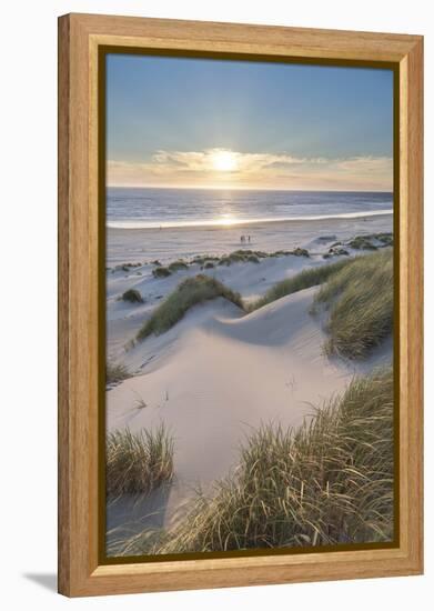 Dunes and dune grass at sunset. Nehalem State Park, Oregon.-Alan Majchrowicz-Framed Premier Image Canvas