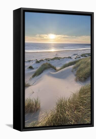 Dunes and dune grass at sunset. Nehalem State Park, Oregon.-Alan Majchrowicz-Framed Premier Image Canvas