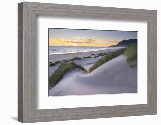 Dunes and dune grass at sunset. Nehalem State Park, Oregon.-Alan Majchrowicz-Framed Photographic Print