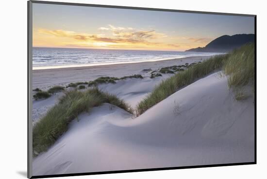 Dunes and dune grass at sunset. Nehalem State Park, Oregon.-Alan Majchrowicz-Mounted Photographic Print