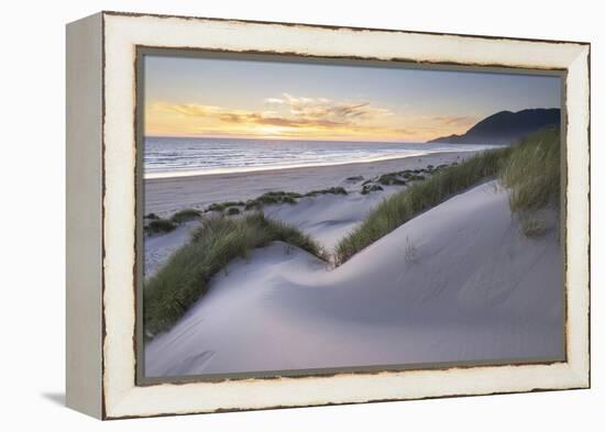 Dunes and dune grass at sunset. Nehalem State Park, Oregon.-Alan Majchrowicz-Framed Premier Image Canvas