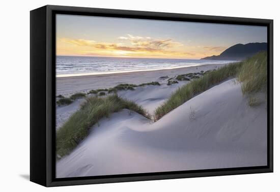 Dunes and dune grass at sunset. Nehalem State Park, Oregon.-Alan Majchrowicz-Framed Premier Image Canvas