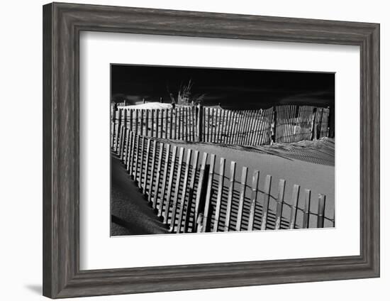 Dunes and Fences at Cape Henlopen State Park, on the Atlantic Coast in Delaware.-Jon Bilous-Framed Photographic Print
