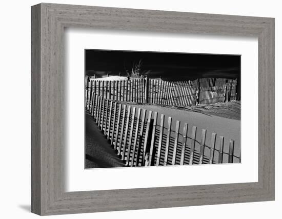 Dunes and Fences at Cape Henlopen State Park, on the Atlantic Coast in Delaware.-Jon Bilous-Framed Photographic Print