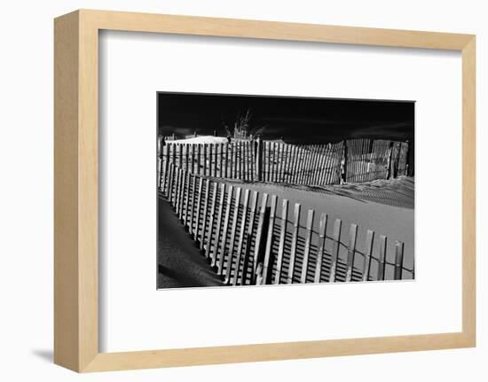 Dunes and Fences at Cape Henlopen State Park, on the Atlantic Coast in Delaware.-Jon Bilous-Framed Photographic Print
