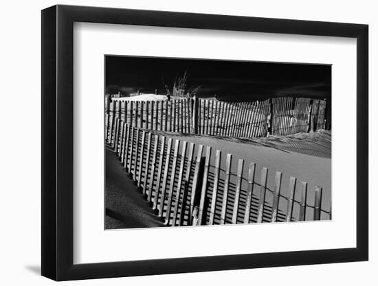 Dunes and Fences at Cape Henlopen State Park, on the Atlantic Coast in Delaware.-Jon Bilous-Framed Photographic Print