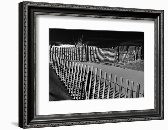 Dunes and Fences at Cape Henlopen State Park, on the Atlantic Coast in Delaware.-Jon Bilous-Framed Photographic Print