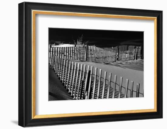 Dunes and Fences at Cape Henlopen State Park, on the Atlantic Coast in Delaware.-Jon Bilous-Framed Photographic Print