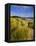 Dunes and Grasses, Mellon Udrigle, Wester Ross, Highlands Region, Scotland, UK, Europe-Neale Clarke-Framed Premier Image Canvas